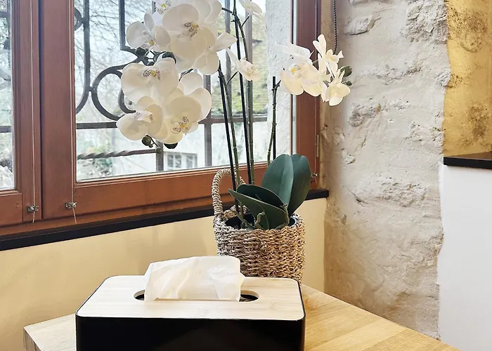 Apartment La Belle Echapee, Charme Et Bike Friendly *